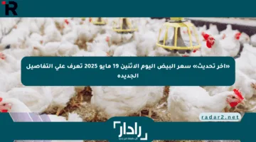 «آخر تحديث» سعر البيض اليوم الاثنين 19 مايو 2025 تعرف على التفاصيل الجديدة